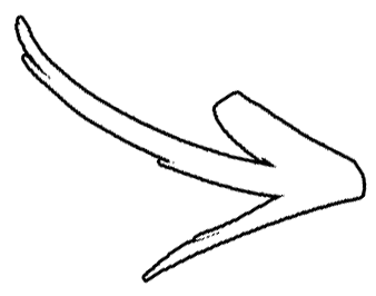 eric weidmann, fitness & health coach, vegan, vegan fitness, vegan bodybuilding, alpha löwen coaching, alpha löwe, team alpha löwen, personal trainer, fitness coach, health coach, natural bodybuilding, fitness, hamburg