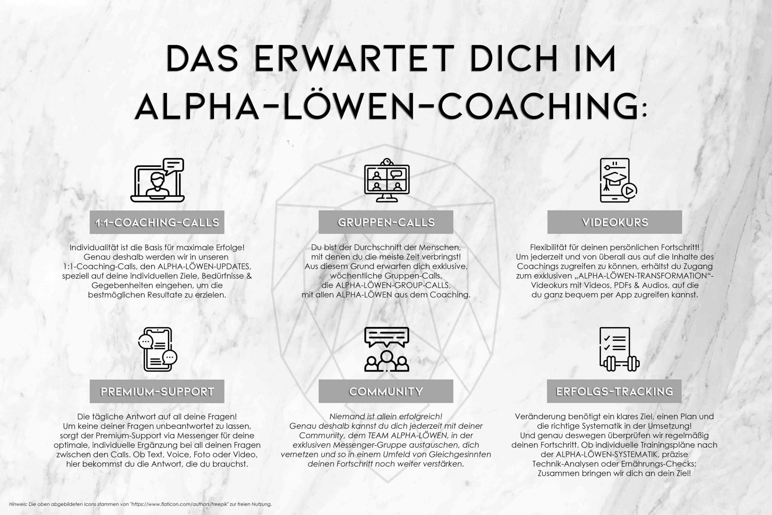 eric weidmann, fitness & health coach, vegan, vegan fitness, vegan bodybuilding, alpha löwen coaching, alpha löwe, team alpha löwen, personal trainer, fitness coach, health coach, natural bodybuilding, fitness, hamburg